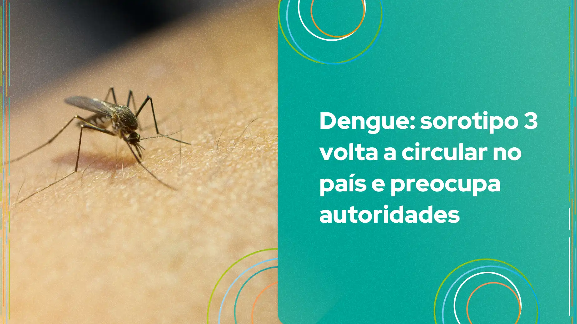 Imagem de mosquito sobre a pele, destacando a preocupação do retorno do sorotipo 3 do dengue no Brasil. Autoridades alertam para os riscos da doença.