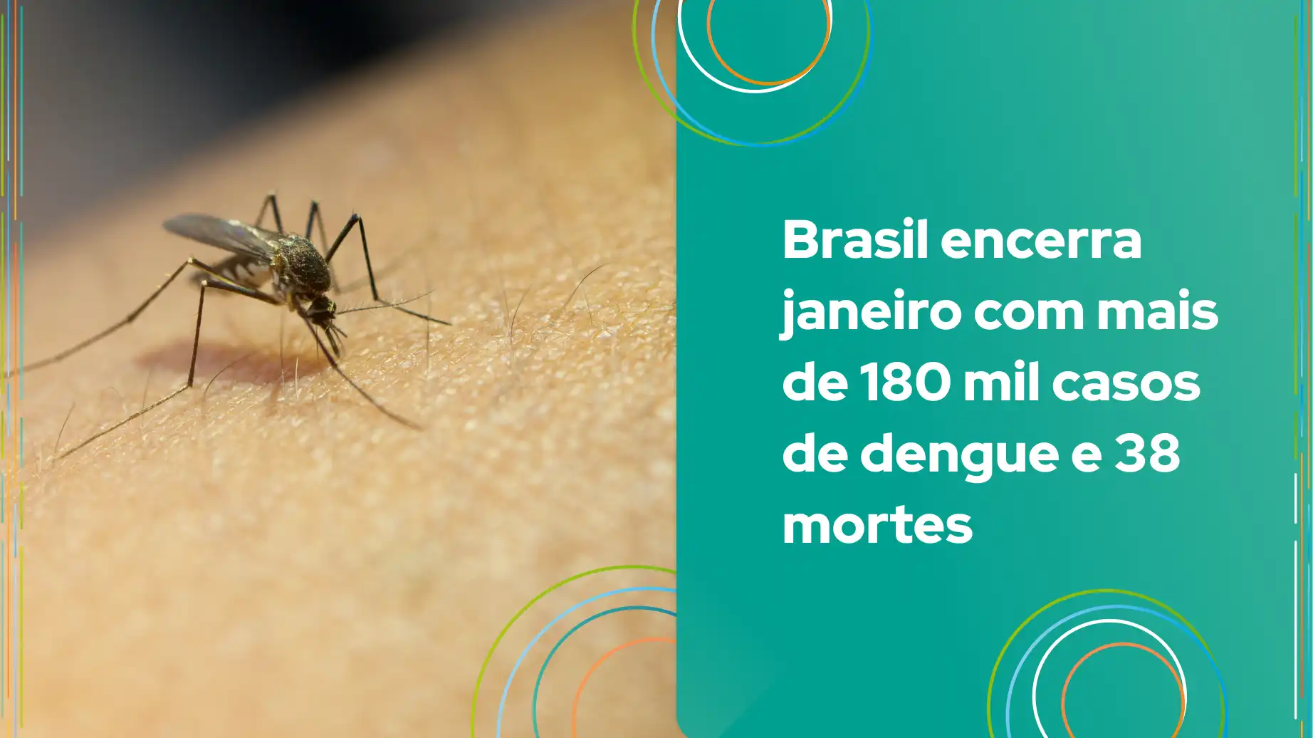 Imagem de um mosquito sobre a pele, simbolizando o aumento de casos de dengue no Brasil, que registrou mais de 180 mil casos em janeiro.